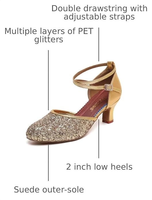 Character Shoes for Women, Woman Ballroom Dance Shoes, 1920s Flapper Shoes, Latin, Salsa, Party Dress Shoes Low Heels, Ankle Strap Pumps