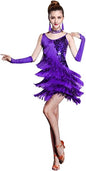 Women's Salsa Latin Dance Dress Glitter Sequin Fringe Flapper Party Ballroom Outfit