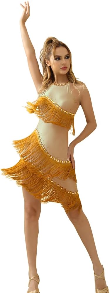 Rhinestone Neck Fringe Latin Dance Dress Salsa Ballroom for Women Dancing Sexy Party Costume