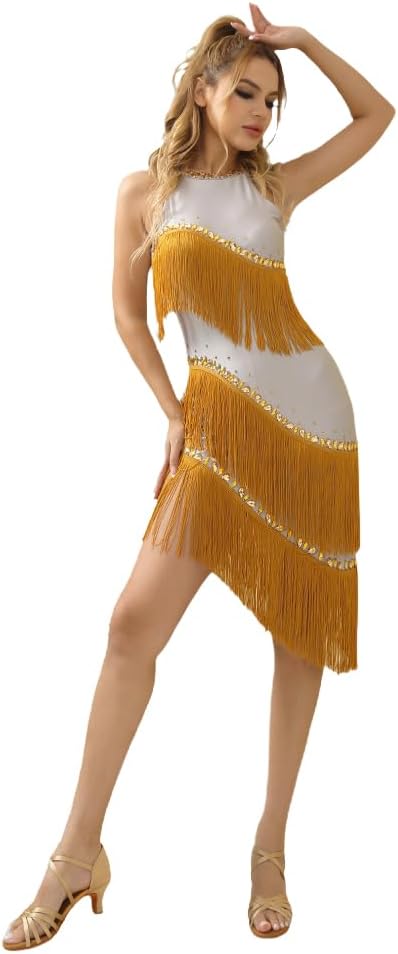 Rhinestone Neck Fringe Latin Dance Dress Salsa Ballroom for Women Dancing Sexy Party Costume