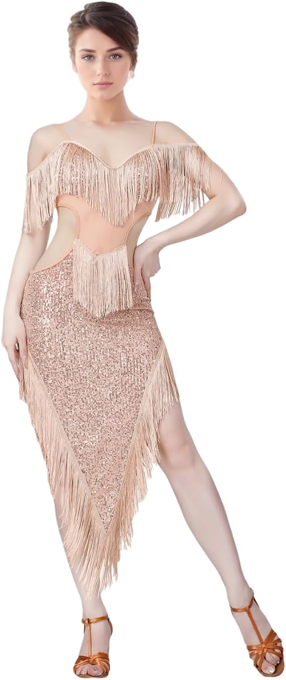 Sequin Fringe Latin Dance Dress, Mesh & Glitter Salsa Dresses for Women, Shimmery Party Skirts