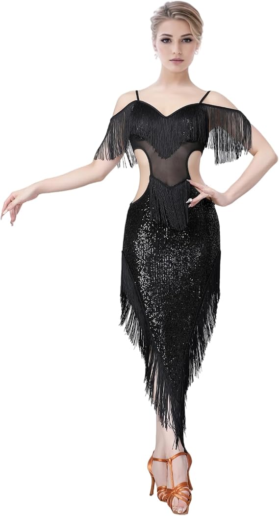 Sequin Fringe Latin Dance Dress, Mesh & Glitter Salsa Dresses for Women, Shimmery Party Skirts