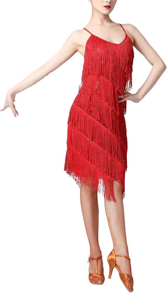 Women Sequin Tassel Dress Sleeveless Stand Collar Fringe Latin Salsa Cha Cha Jazz Dance Costume