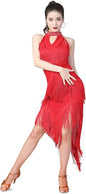Women's Ballroom Latin Tango Salsa Dance Dress High Low Swallowtail Fringe Skirt Dance Costume with Shorts