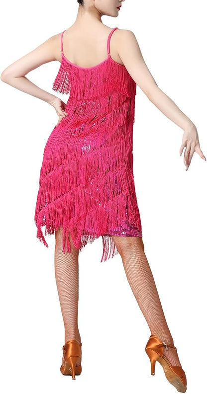 Women Sequin Tassel Dress Sleeveless Stand Collar Fringe Latin Salsa Cha Cha Jazz Dance Costume