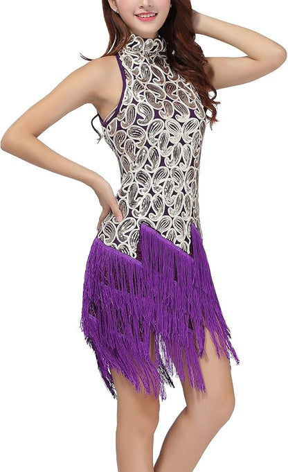 Women Sequin Tassel Dress Sleeveless Stand Collar Fringe Latin Salsa Cha Cha Jazz Dance Costume