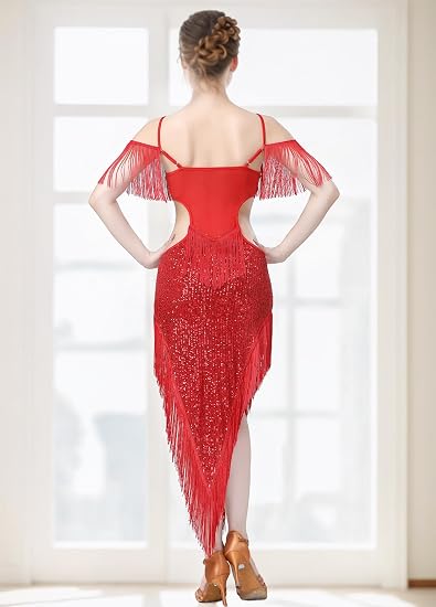 Sequin Fringe Latin Dance Dress, Mesh & Glitter Salsa Dresses for Women, Shimmery Party Skirts
