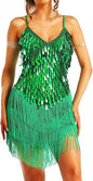 Tassel Latin Dance Dress Royal Blue Sequin Fringe Dresses for Women
