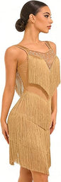 Women's Latin Dance Dress - Sparkly Rhinestones Fringe Salsa Ballroom Dance Outfit Stage Performance Costume