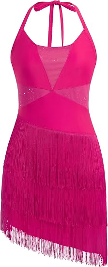 Sparkly Tassel Latin Dance Dress for Women Halter Asymmetric Fringe Flapper Dresses Mesh Salsa Tango Ballroom Dance Costume