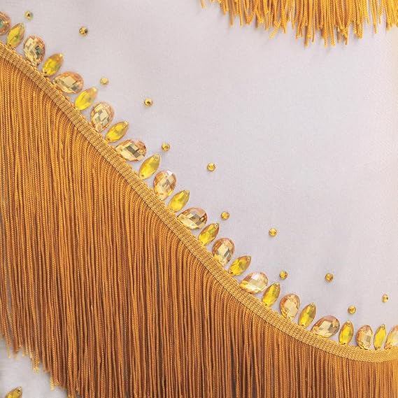 Rhinestone Neck Fringe Latin Dance Dress Salsa Ballroom for Women Dancing Sexy Party Costume