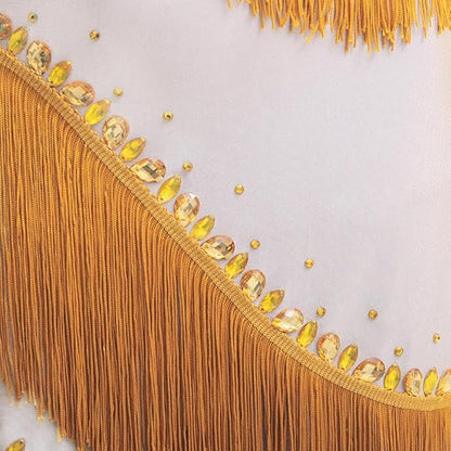 Rhinestone Neck Fringe Latin Dance Dress Salsa Ballroom for Women Dancing Sexy Party Costume