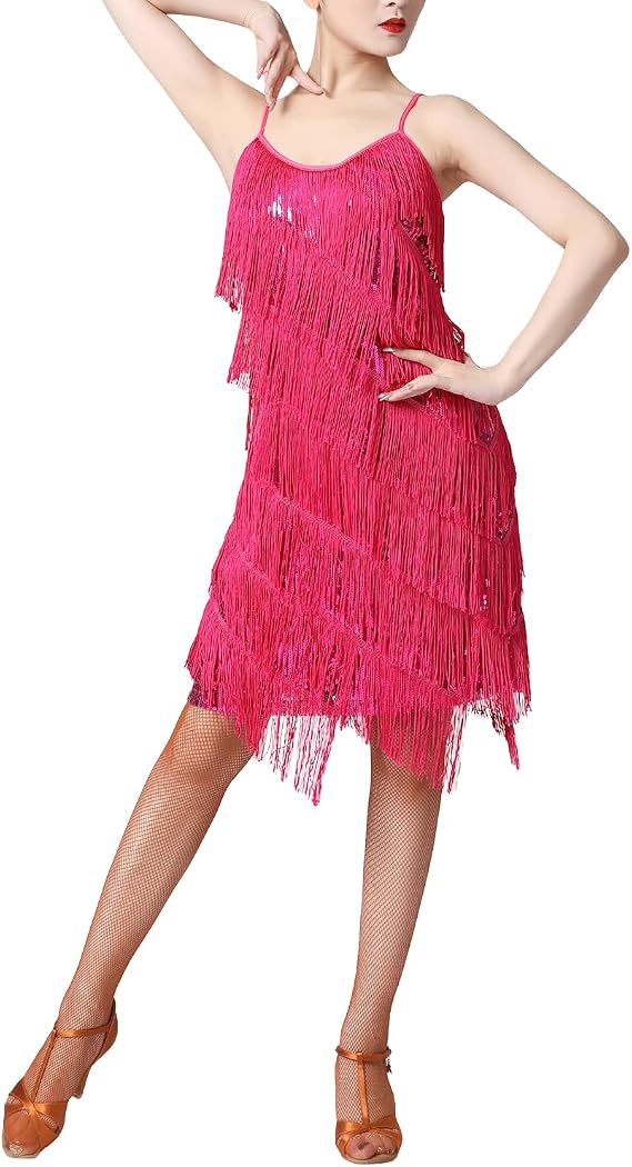 Women Sequin Tassel Dress Sleeveless Stand Collar Fringe Latin Salsa Cha Cha Jazz Dance Costume