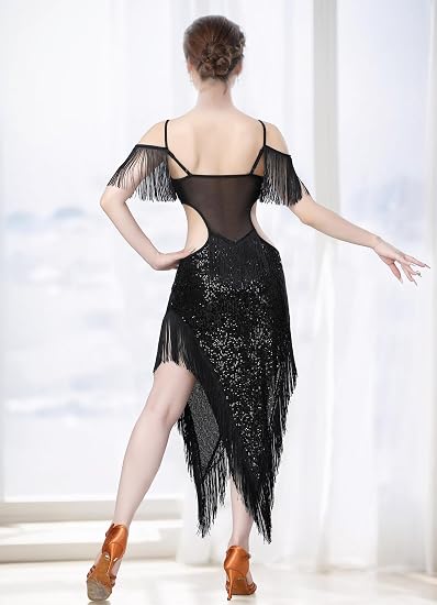 Sequin Fringe Latin Dance Dress, Mesh & Glitter Salsa Dresses for Women, Shimmery Party Skirts