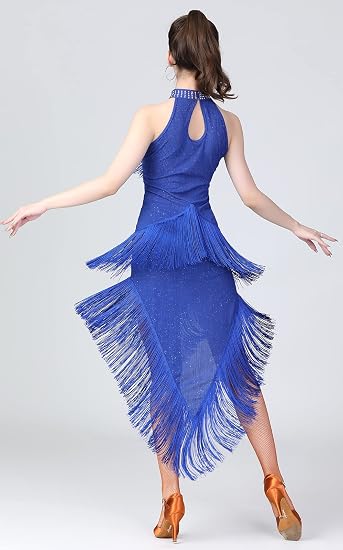 Women's Ballroom Latin Tango Salsa Dance Dress High Low Swallowtail Fringe Skirt Dance Costume with Shorts
