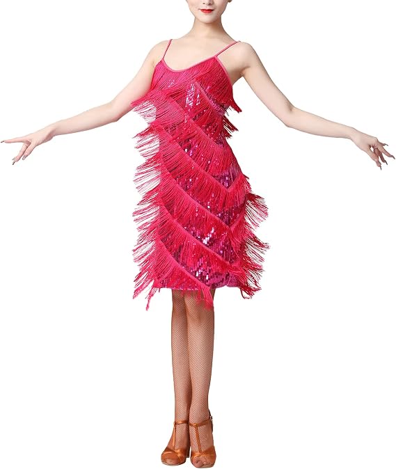 Women Sequin Tassel Dress Sleeveless Stand Collar Fringe Latin Salsa Cha Cha Jazz Dance Costume