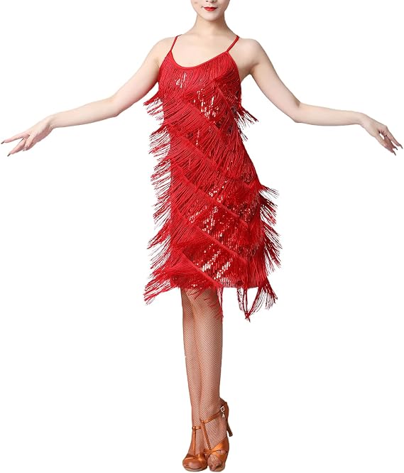 Women Sequin Tassel Dress Sleeveless Stand Collar Fringe Latin Salsa Cha Cha Jazz Dance Costume