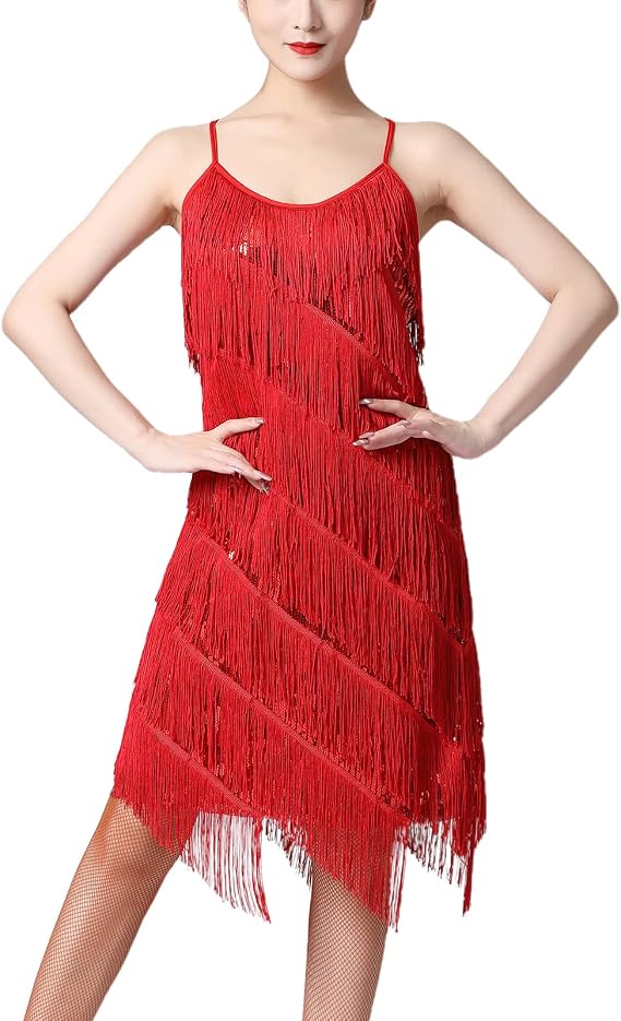Women Sequin Tassel Dress Sleeveless Stand Collar Fringe Latin Salsa Cha Cha Jazz Dance Costume