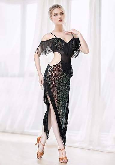 Sequin Fringe Latin Dance Dress, Mesh & Glitter Salsa Dresses for Women, Shimmery Party Skirts