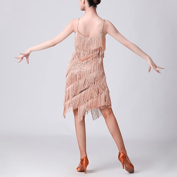 Women Sequin Tassel Dress Sleeveless Stand Collar Fringe Latin Salsa Cha Cha Jazz Dance Costume