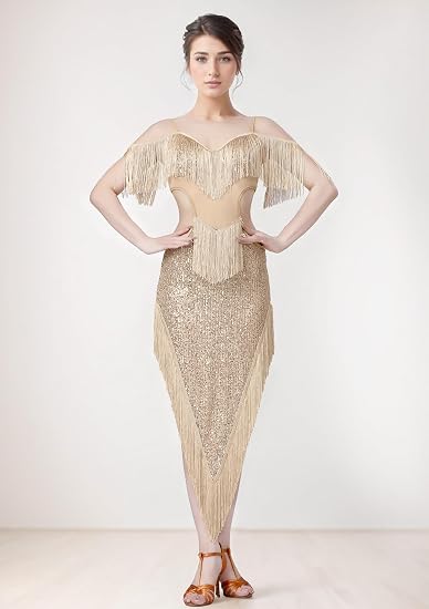 Sequin Fringe Latin Dance Dress, Mesh & Glitter Salsa Dresses for Women, Shimmery Party Skirts