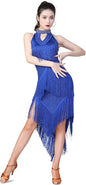 Women's Ballroom Latin Tango Salsa Dance Dress High Low Swallowtail Fringe Skirt Costume with Shorts