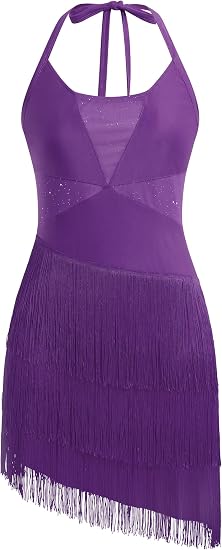 Sparkly Tassel Latin Dance Dress for Women Halter Asymmetric Fringe Flapper Dresses Mesh Salsa Tango Ballroom Dance Costume