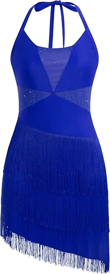 Sparkly Tassel Latin Dance Dress for Women Halter Asymmetric Fringe Flapper Dresses Mesh Salsa Tango Ballroom Dance Costume