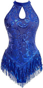 Sparkly Sequin Fringe Bodysuit Women Acrobat Skating Leotard Latin Jazz Rave Dance Costumes