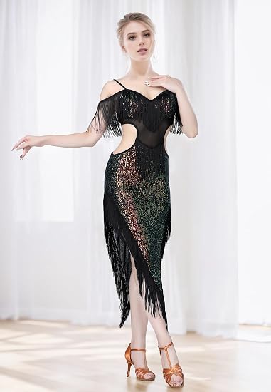 Sequin Fringe Latin Dance Dress, Mesh & Glitter Salsa Dresses for Women, Shimmery Party Skirts