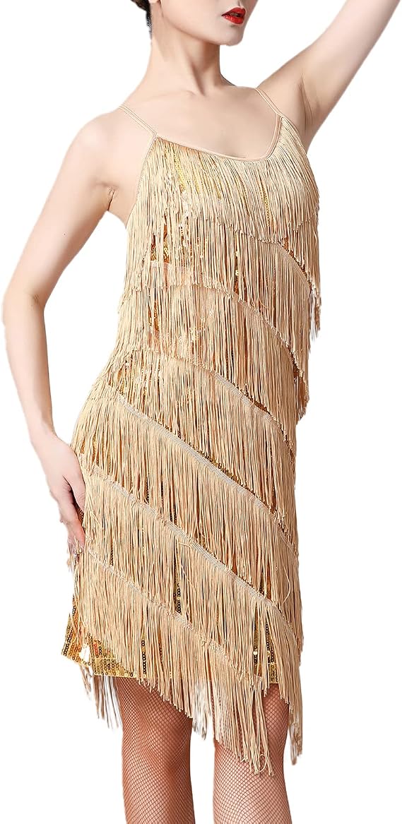 Women Sequin Tassel Dress Sleeveless Stand Collar Fringe Latin Salsa Cha Cha Jazz Dance Costume
