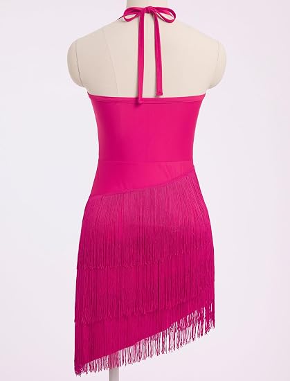 Sparkly Tassel Latin Dance Dress for Women Halter Asymmetric Fringe Flapper Dresses Mesh Salsa Tango Ballroom Dance Costume