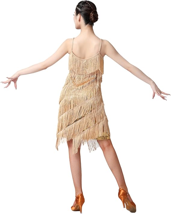 Women Sequin Tassel Dress Sleeveless Stand Collar Fringe Latin Salsa Cha Cha Jazz Dance Costume