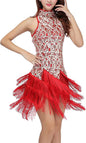 Women's Mock Neck Sequin Tassel Fringe Dress Salsa Latin Ballroom Rave Party Dance Costume
