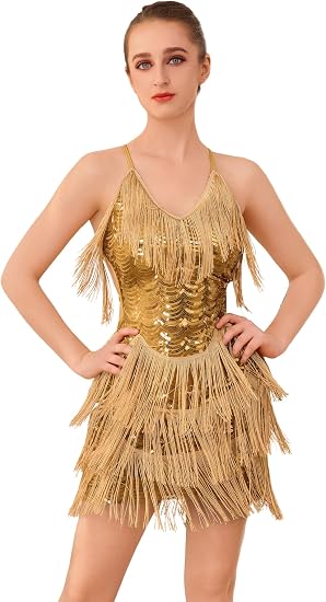 Sequin Fringe Dress for Women Sparkly Latin Dance Costume Great Gatsby 1920s Tassel Flapper Dress Sexy Salsa Tango Dancewear