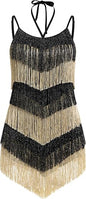 Color Block Latin Jazz Dance Dress for Women Sparkly Tassel Fringe Flapper Dresses 1920s Gatsby Party Ballroom Dance Costume