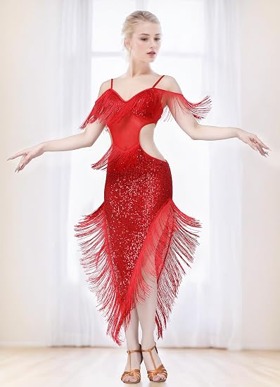 Sequin Fringe Latin Dance Dress, Mesh & Glitter Salsa Dresses for Women, Shimmery Party Skirts
