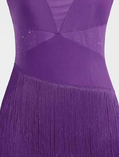 Sparkly Tassel Latin Dance Dress for Women Halter Asymmetric Fringe Flapper Dresses Mesh Salsa Tango Ballroom Dance Costume