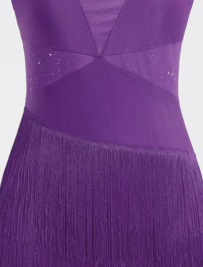 Sparkly Tassel Latin Dance Dress for Women Halter Asymmetric Fringe Flapper Dresses Mesh Salsa Tango Ballroom Dance Costume