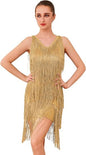 Glitter Fringe Dress for Women Sparkly Latin Dance Costume 1920s Tassel Flapper Dress Shiny Great Gatsby Party Salsa Outfit