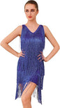 Glitter Fringe Dress for Women Sparkly Latin Dance Costume 1920s Tassel Flapper Dress Shiny Great Gatsby Party Salsa Outfit